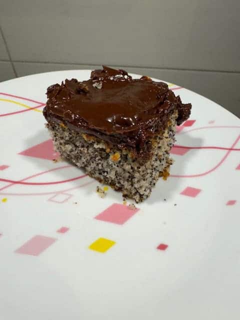 Poppy Seed and Yogurt Cake with Chocolate